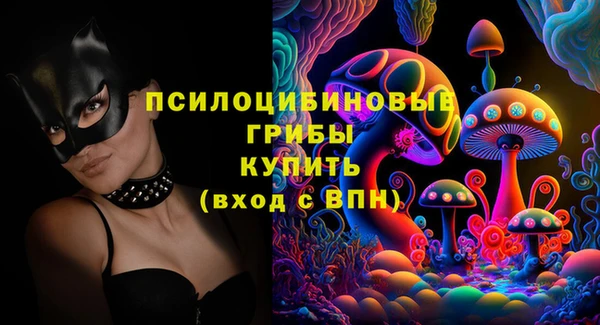 молекула духа Михайловка