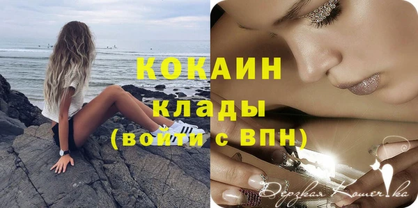 apvp Михайлов