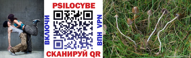 купить наркоту  Волгодонск  Псилоцибиновые грибы ЛСД 